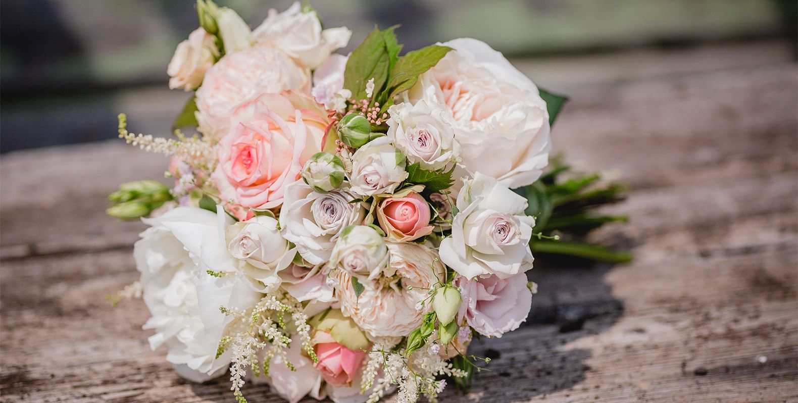 Header_af_Straeusse_1_mw